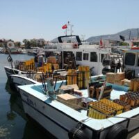 50489042628_1bff88a653_o-min