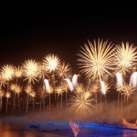 50494399856_e66f8ec345_o